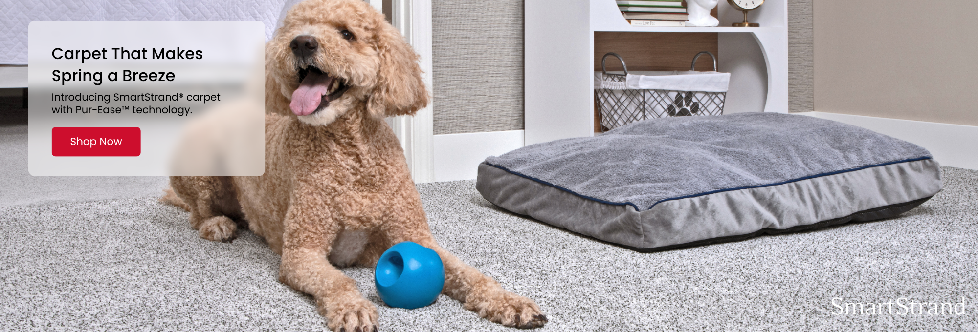 Mohawk SmartStrand Carpet Promotion