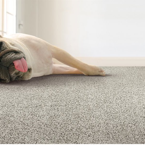 Carpet trends in Union, MO from John's Flooring